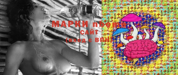 тгк Майский