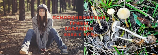 тгк Майский