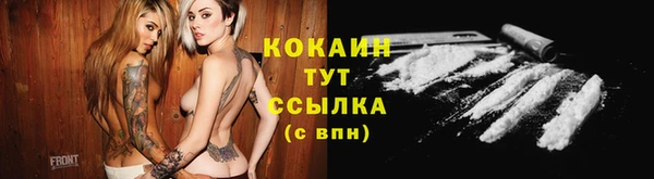 тгк Майский