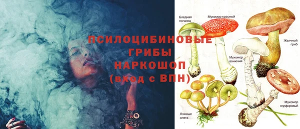 тгк Майский
