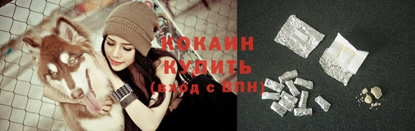 тгк Майский