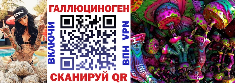 мега маркетплейс  Суджа  Галлюциногенные грибы MAGIC MUSHROOMS 